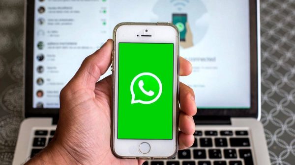 whatsapp下载安卓最新版本 2023_绯色修仙录安卓最新版本下载_内场pro安卓最新版本下载