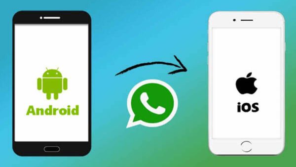 whatsapp网页登录_whatsapp网页登录_whatsapp网页登录